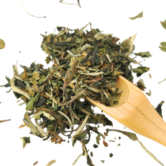 Pai Mu Tan Loose Leaf Tea