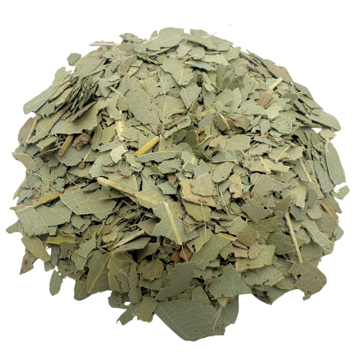 Eucalyptus