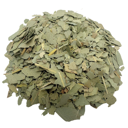Eucalyptus