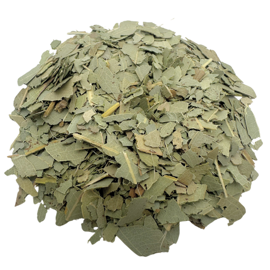 Eucalyptus