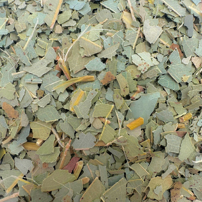 Eucalyptus