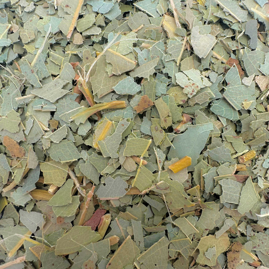 Eucalyptus
