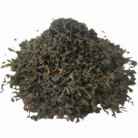 Nonsuch Nilgiri